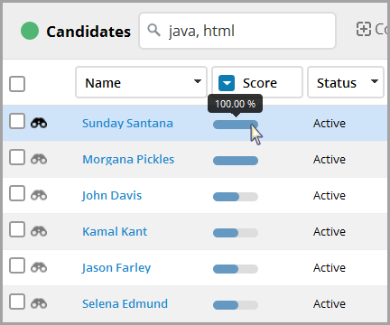 Candidate Record Keyword Bullhorn