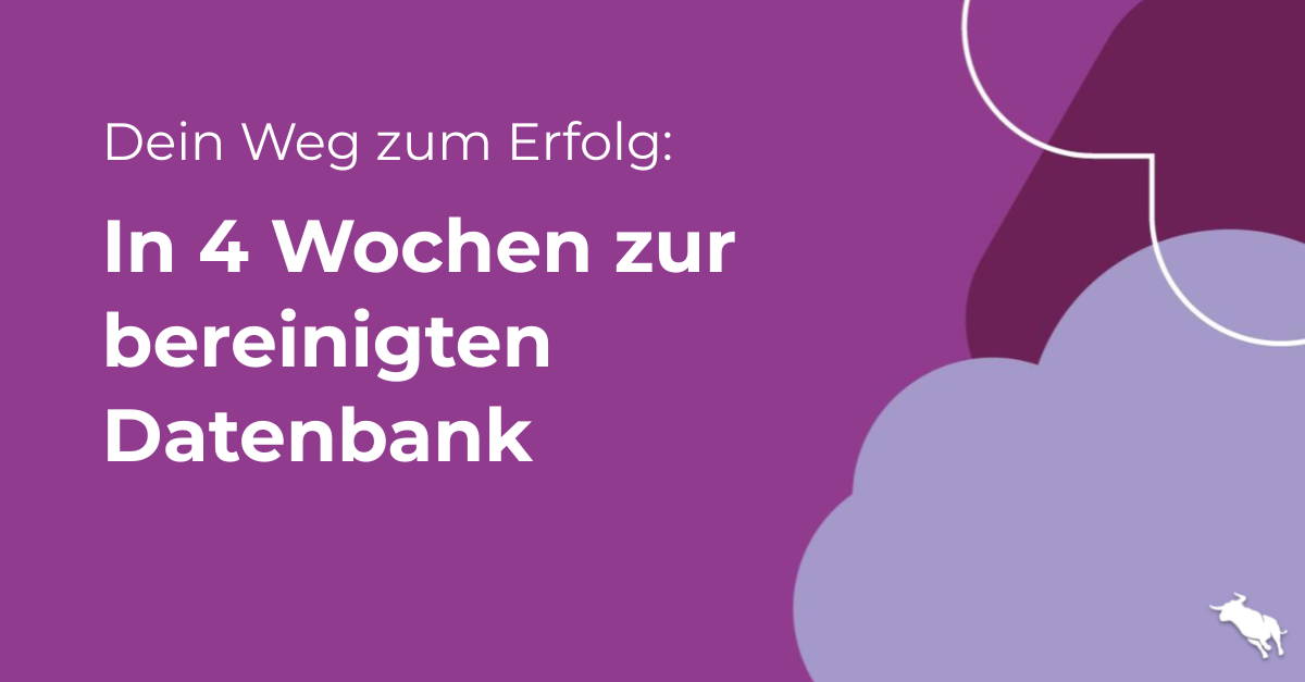 Bild mit Text: Dein Weg zum Erfolg: In 4 Wochen zur bereinigten Datenbank