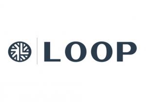 loop-300x209