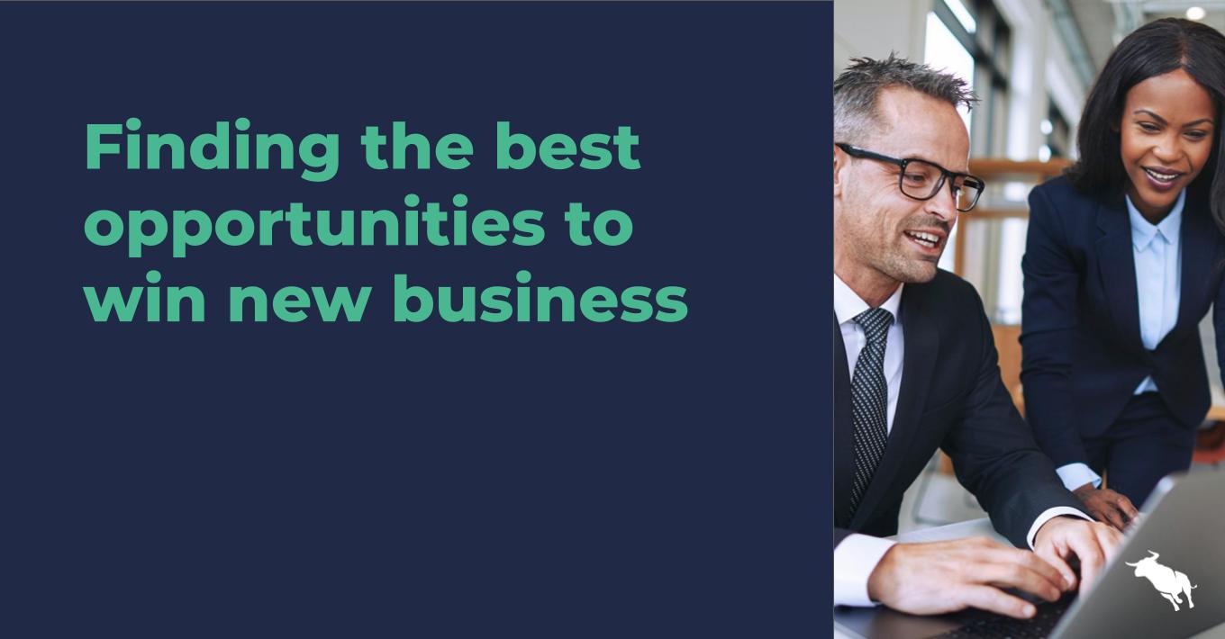 finding the best opportunities to win new business