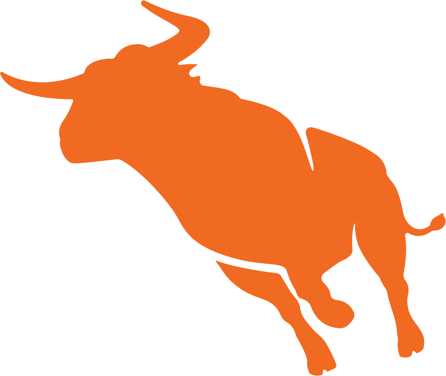 bh-bull-orange