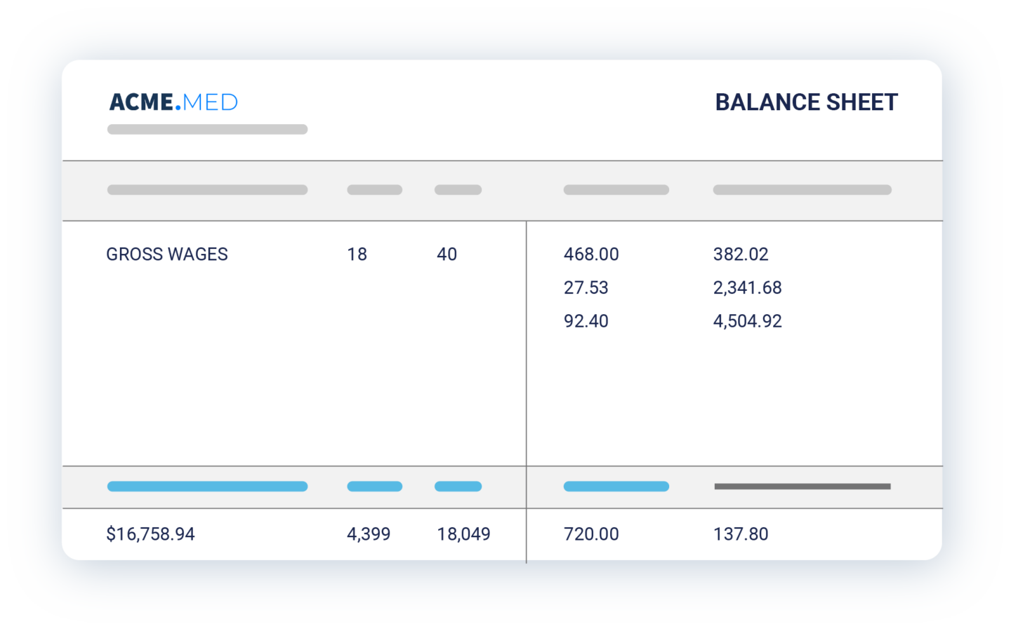 Acme Med Balance Sheet Mockup